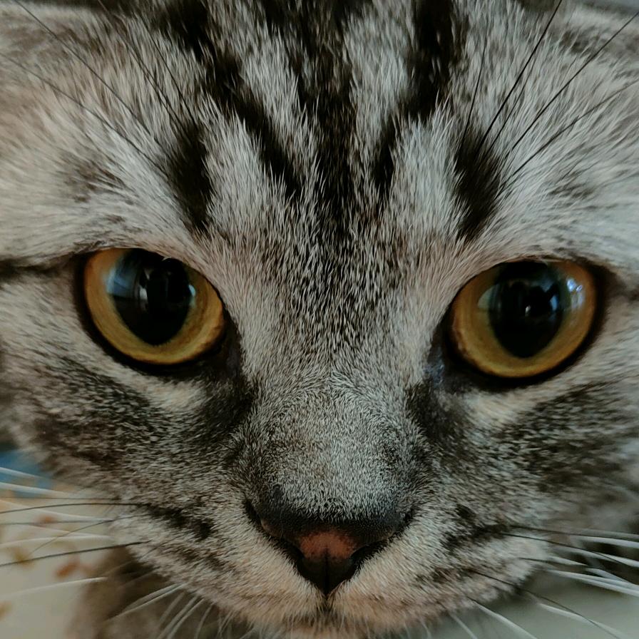 lili🌺💕头像