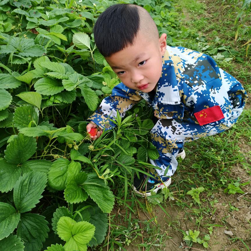 卡车司机！！！！