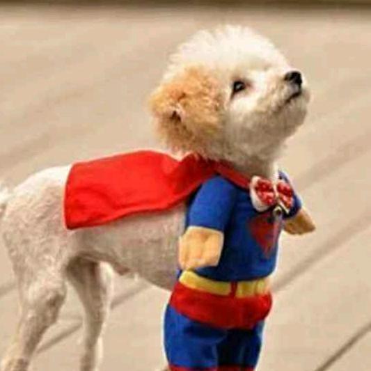 伟伟道来（90.3）