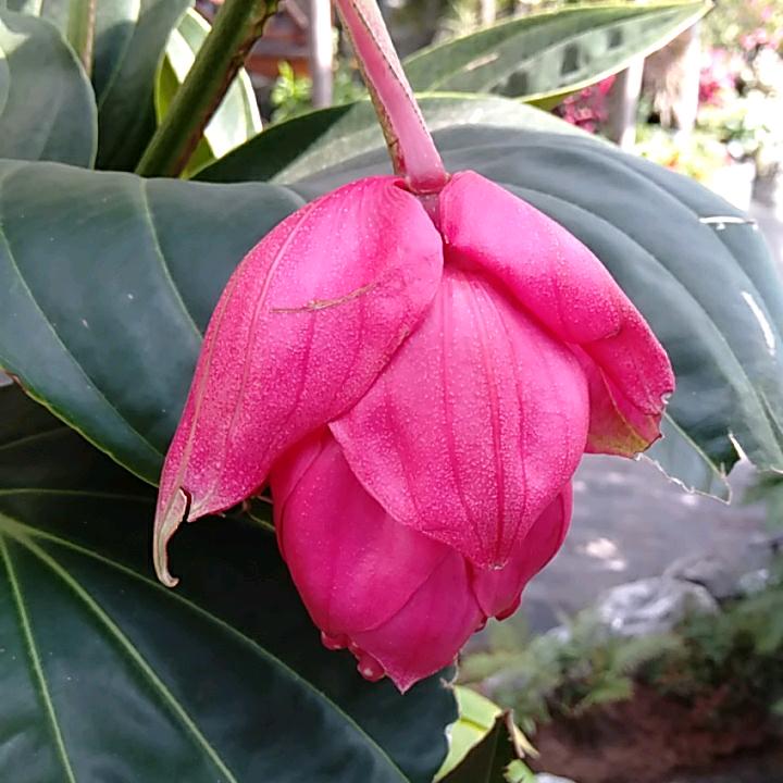 交口旧衣服回收