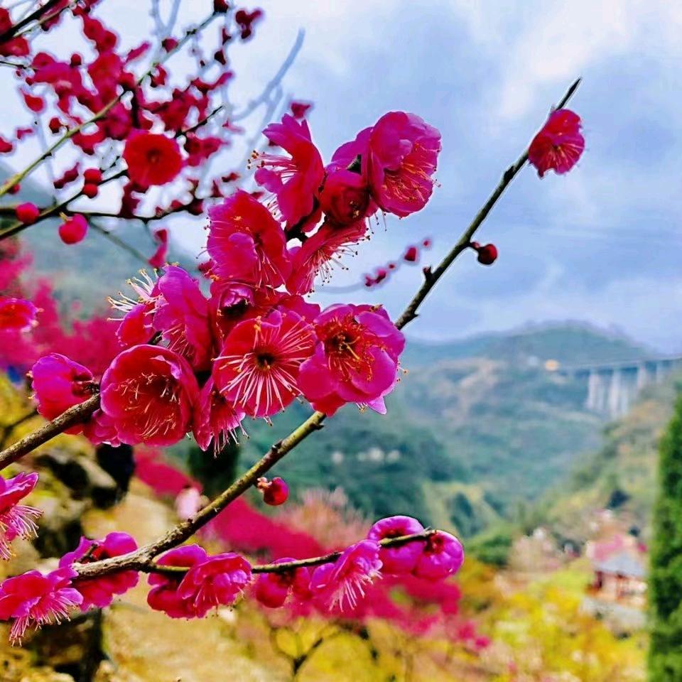 幸福.一生
