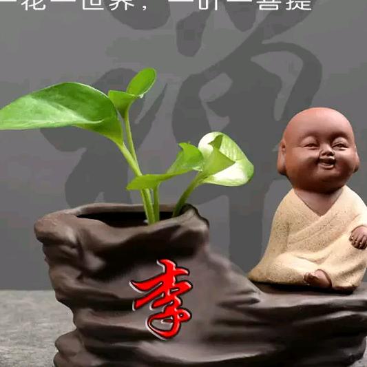 继红