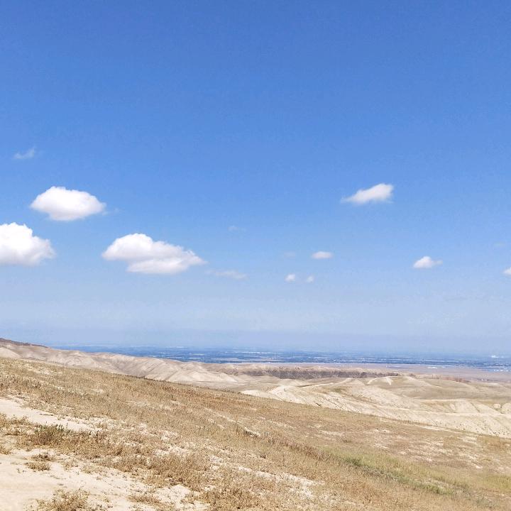 驼铃苑