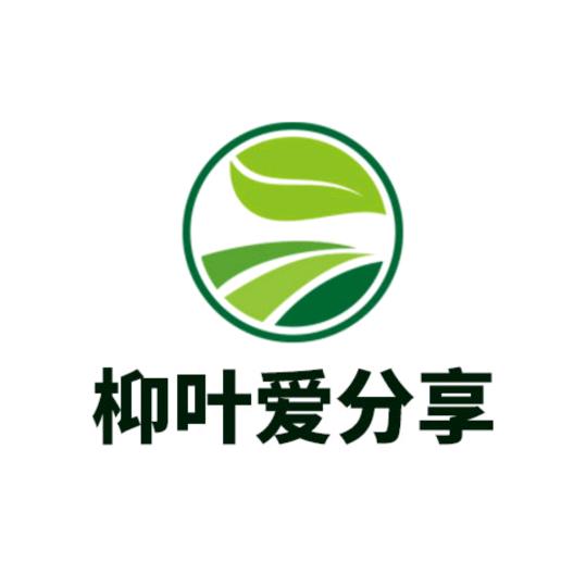 柳叶好物分享