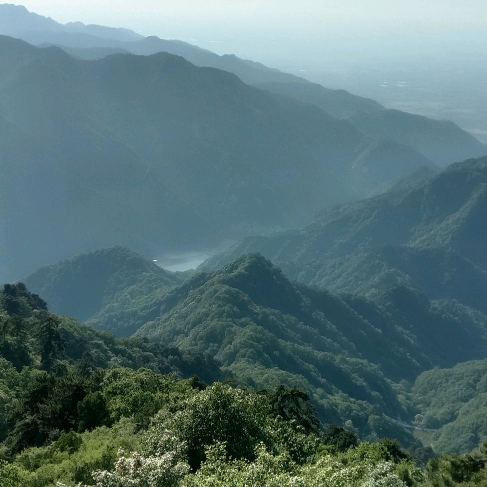 春天的风景