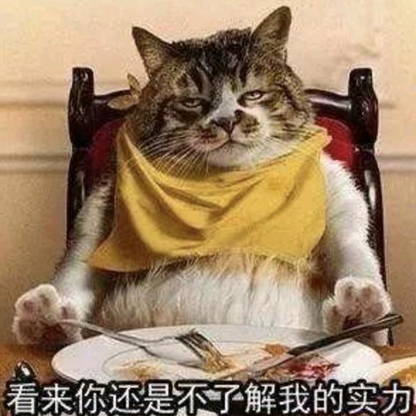 逗你玩