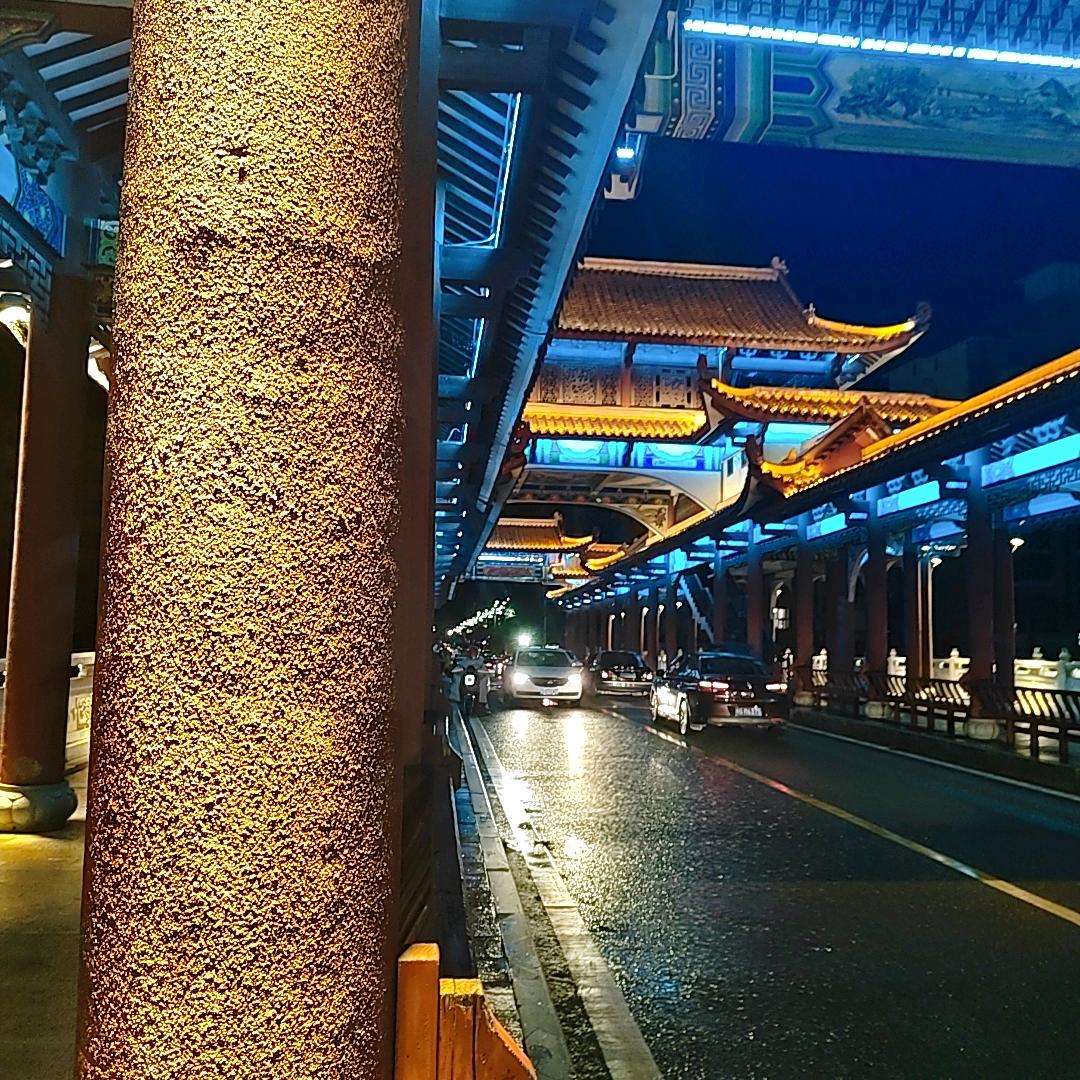 蝴蝶树