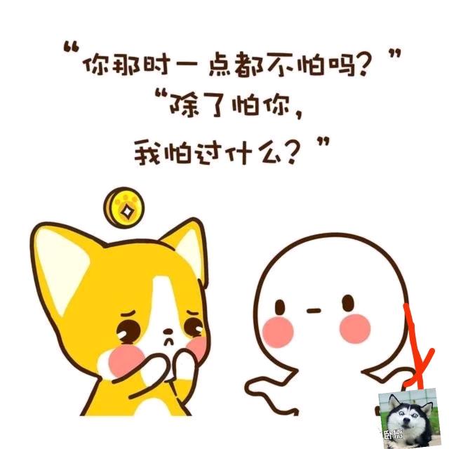消失的时光