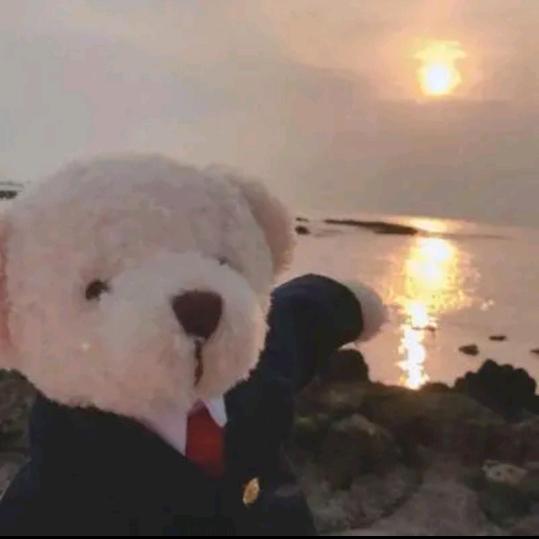 记忆渟鎏