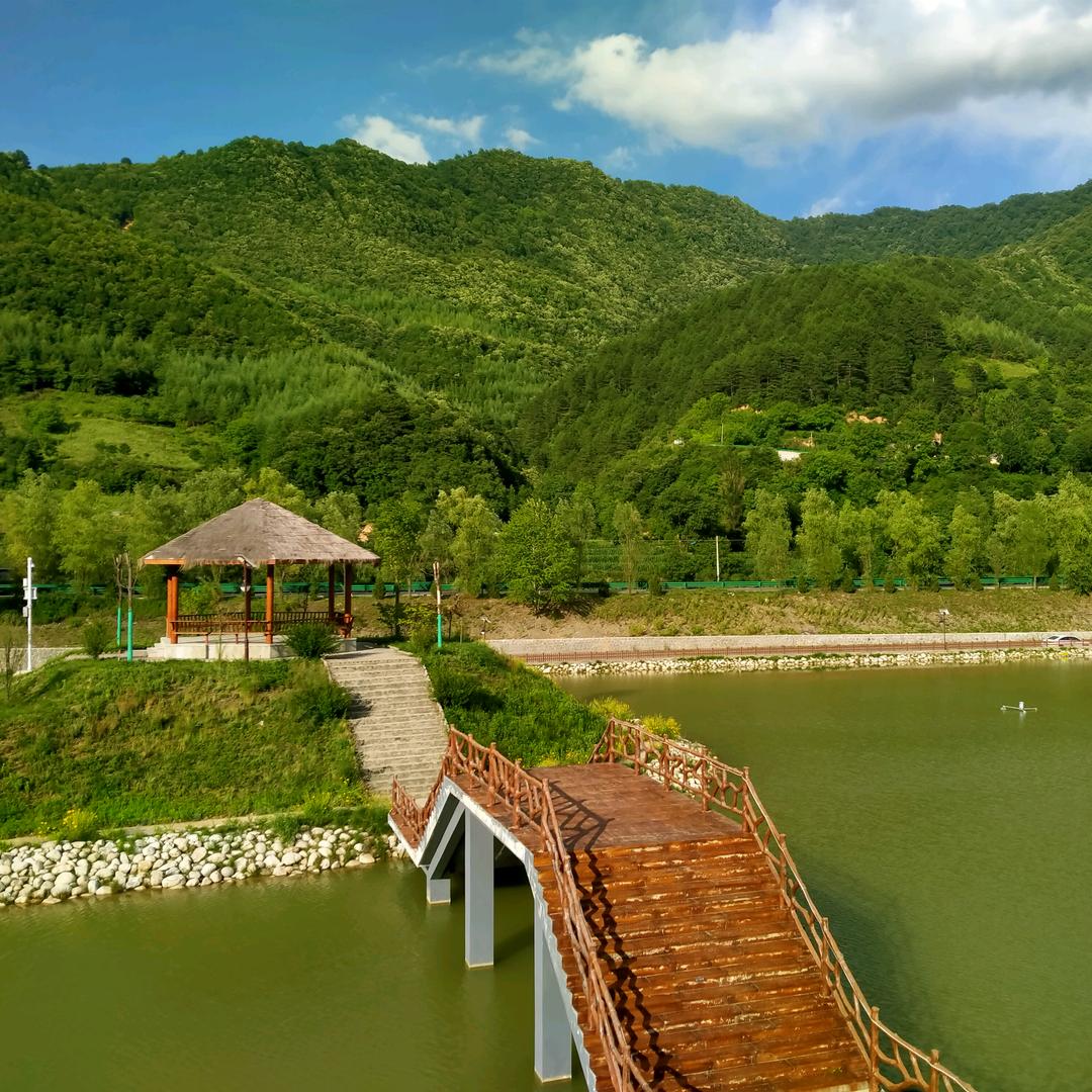 郑合我意
