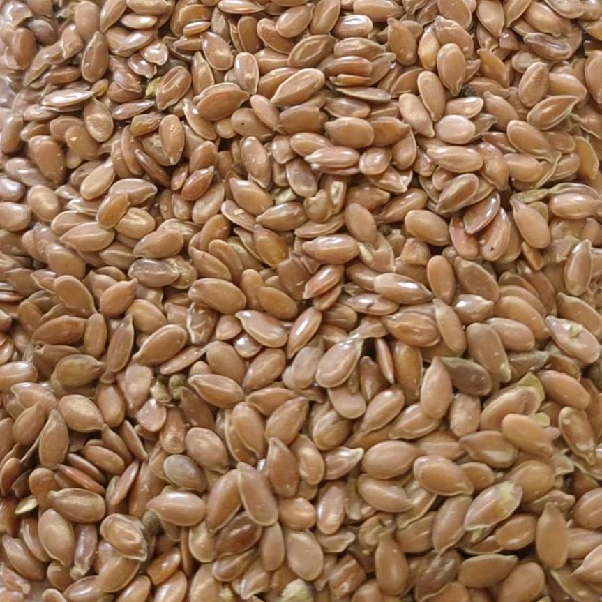 НОВОСИБИРСКЕ