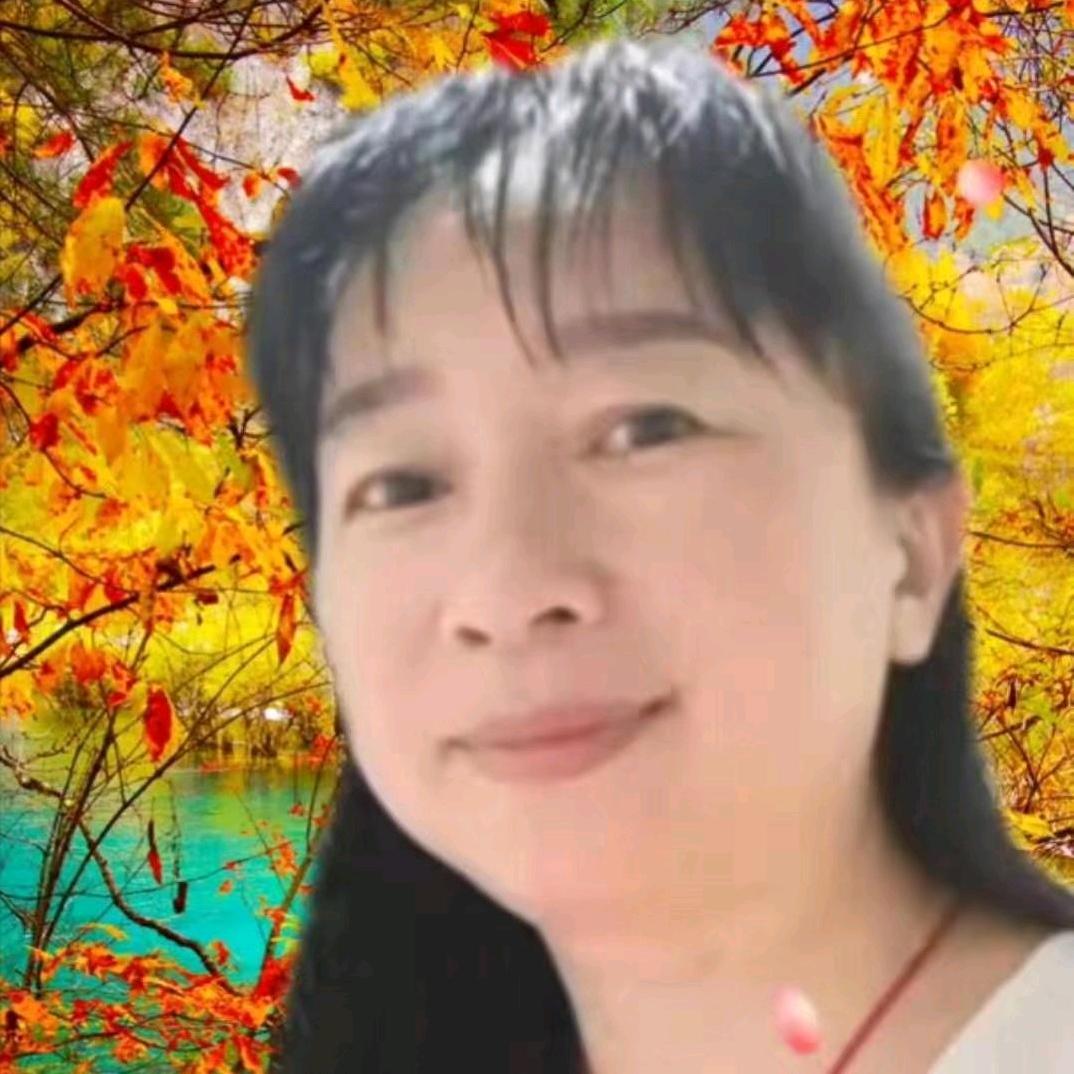 云家姑娘