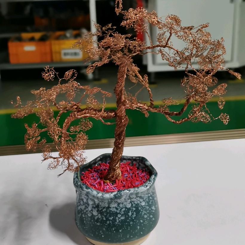 大橘子姐们