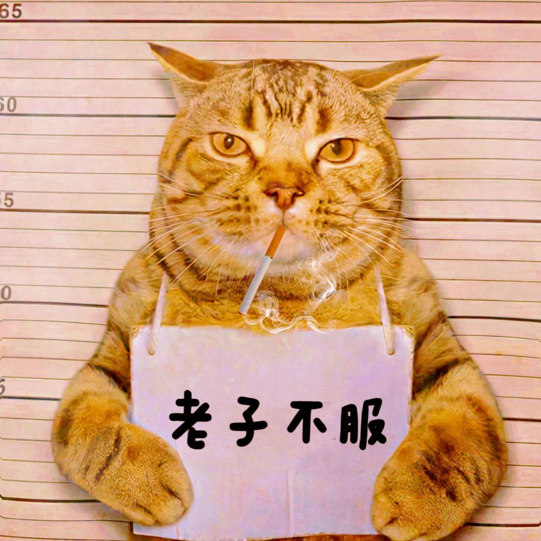 爱喝百事可乐