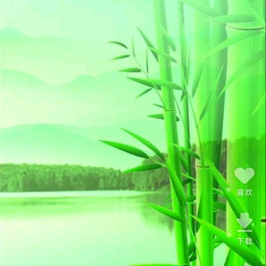 翠竹典雅