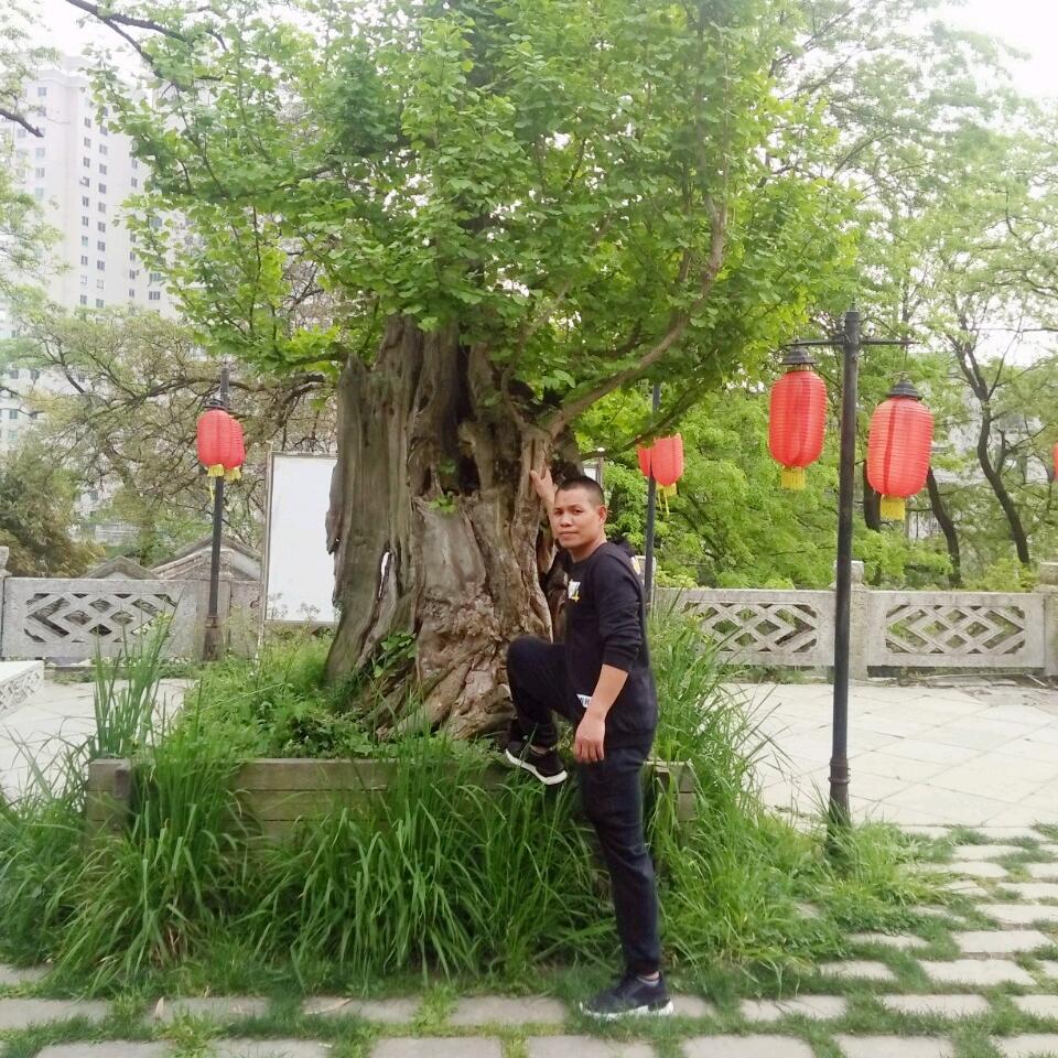 痴情浪子