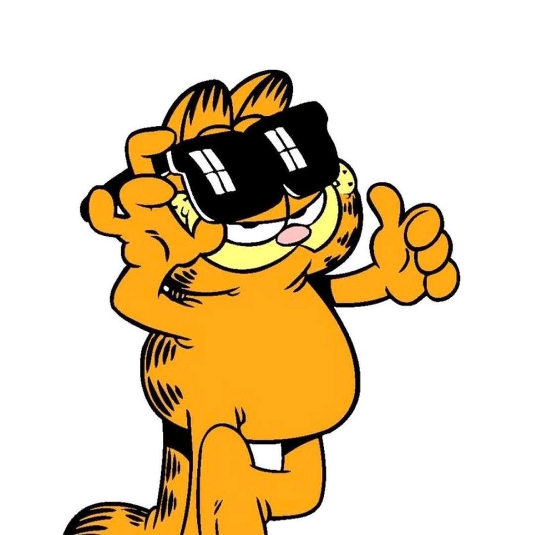 加菲猫聊球