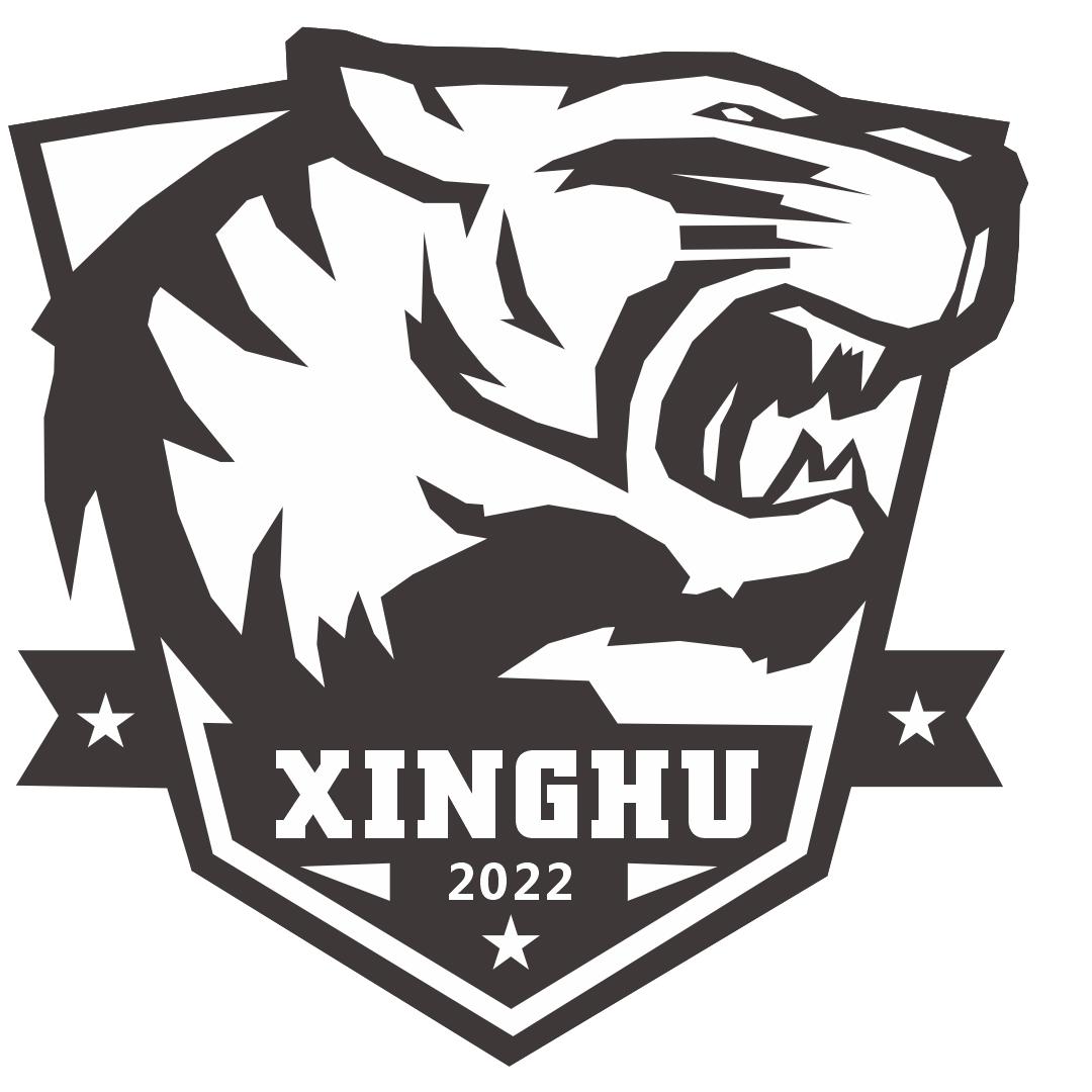 🇨🇳星虎散打搏击🇨🇳