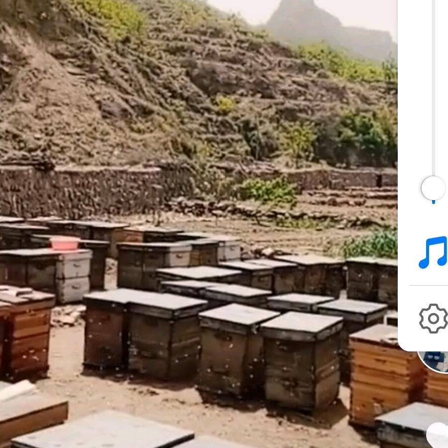 自己产的纯天然蜂蜜