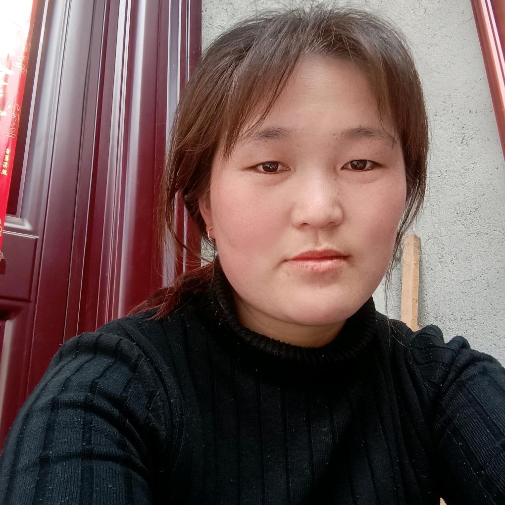 飞龙在天