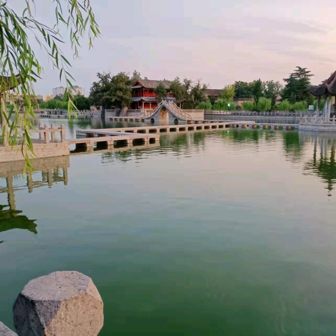 菲菲（拒绝连赞）