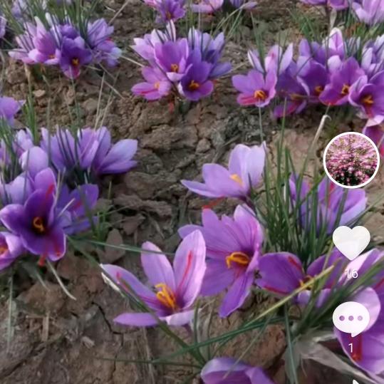 我的漏风小棉袄