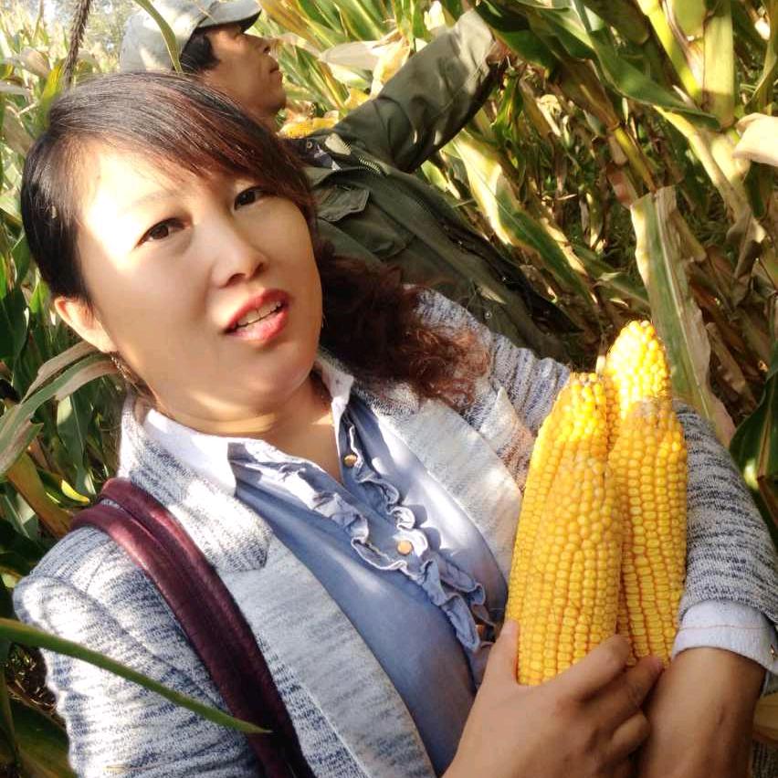 种子徐姐