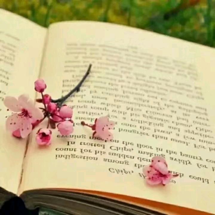 @～一世欢颜💞～