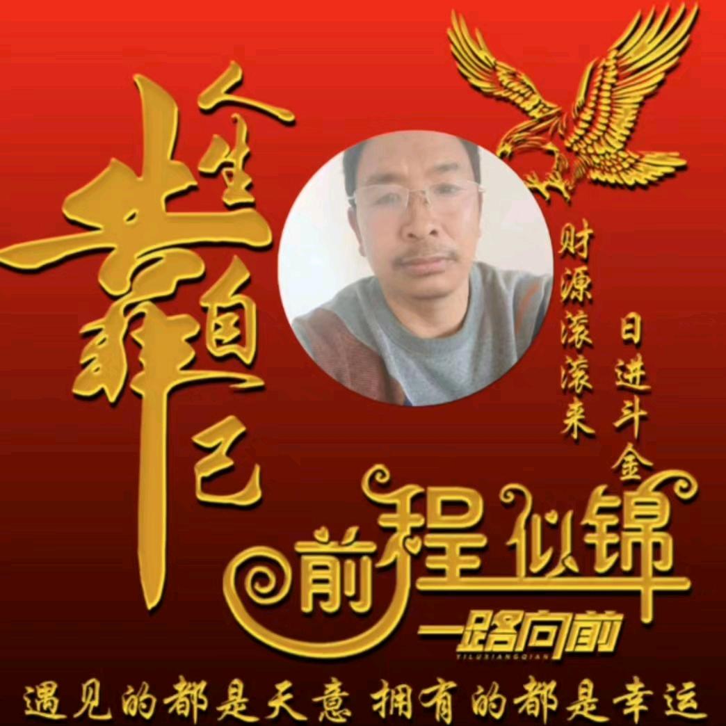 跑山鸡养殖老辛