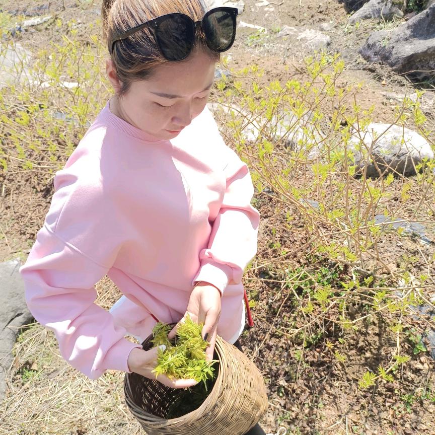 莓茶妹儿潘潘