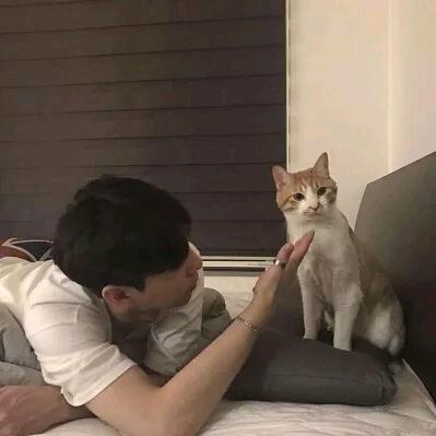 陈告退