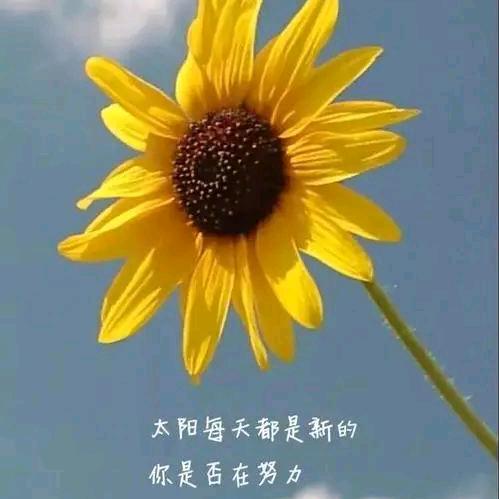 @miss董@