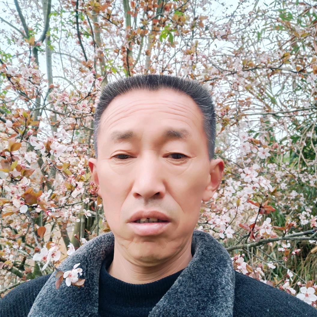 陈敬知