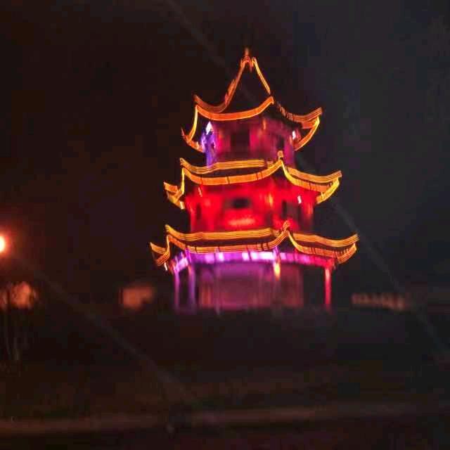 万能斌哥