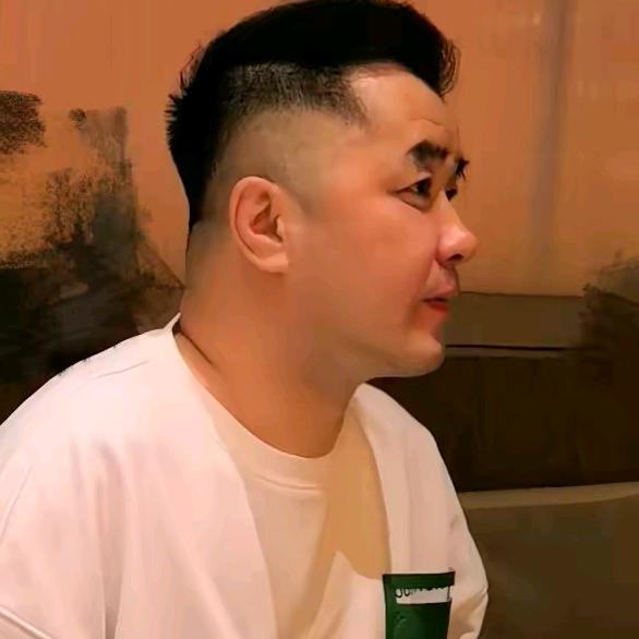丛林之狐