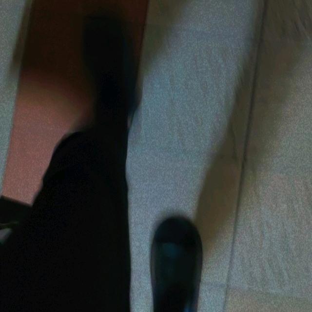 zh