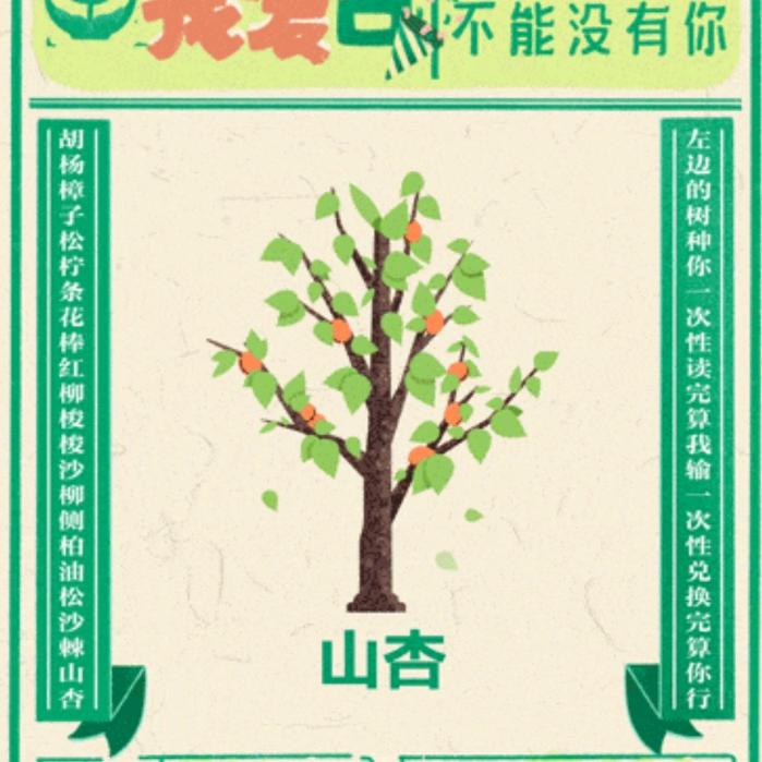 聪明的一休