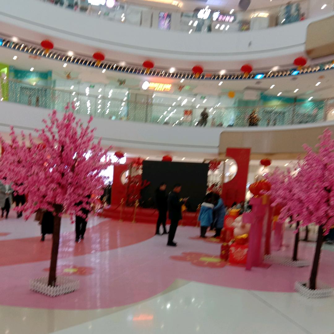 阳光😄