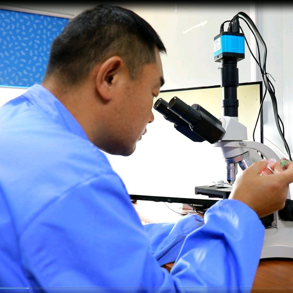 南京牧微（小球藻，硅藻，复合藻，藻博士）