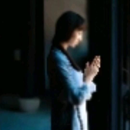 陛下的妈咪