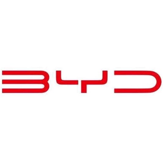 比亚迪汽车王朝网（深圳路骐罗湖店）