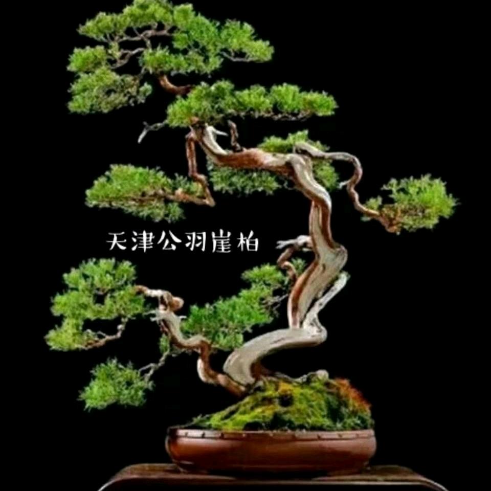 鸿烁工艺品批发店