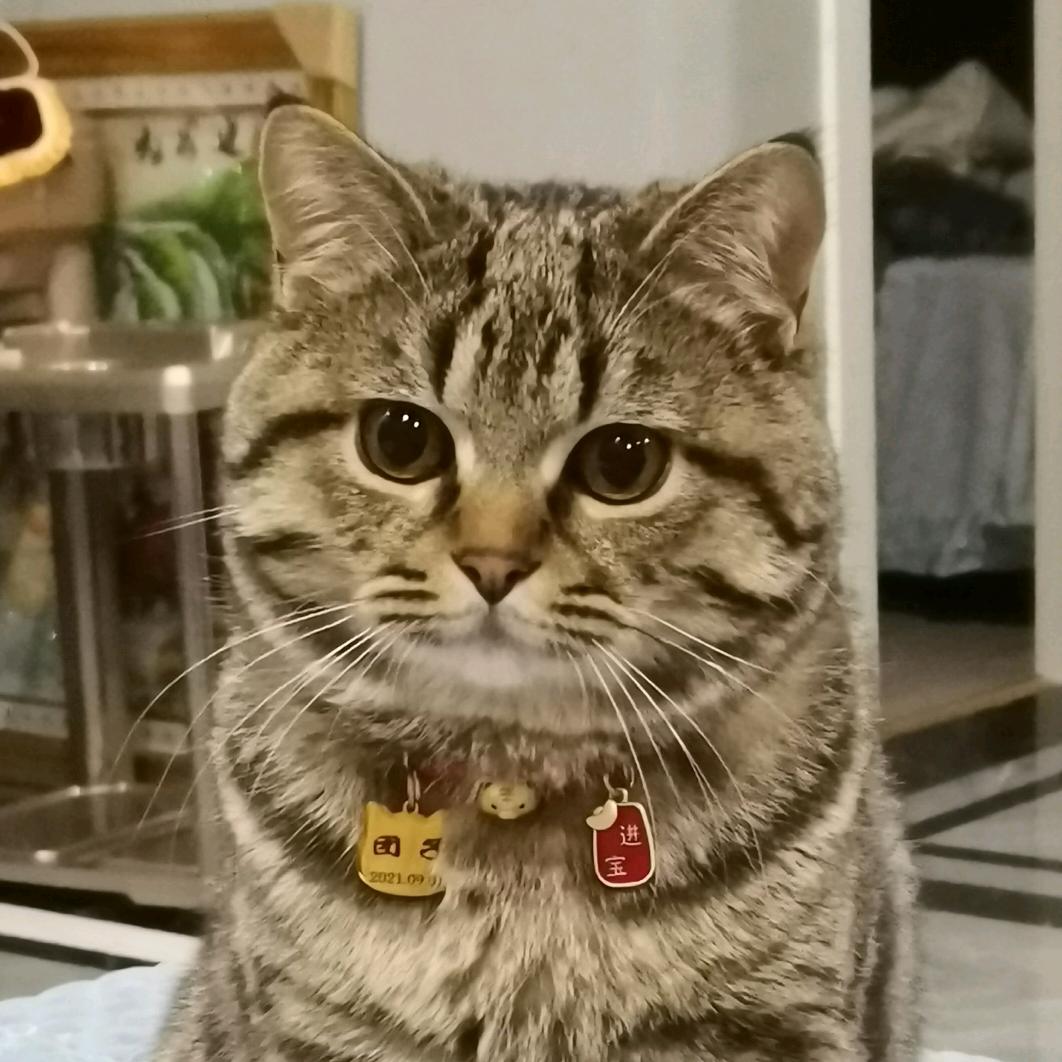 宝  儿👑