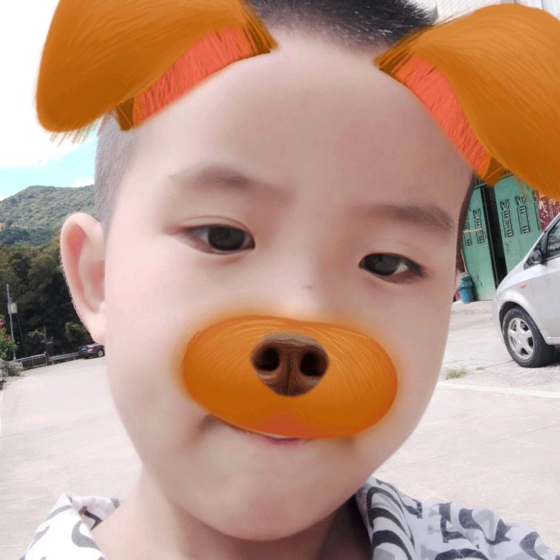 小叶开心果