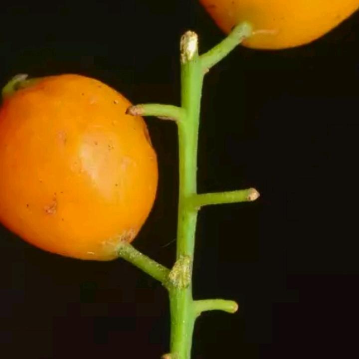 开心快乐每一天😄