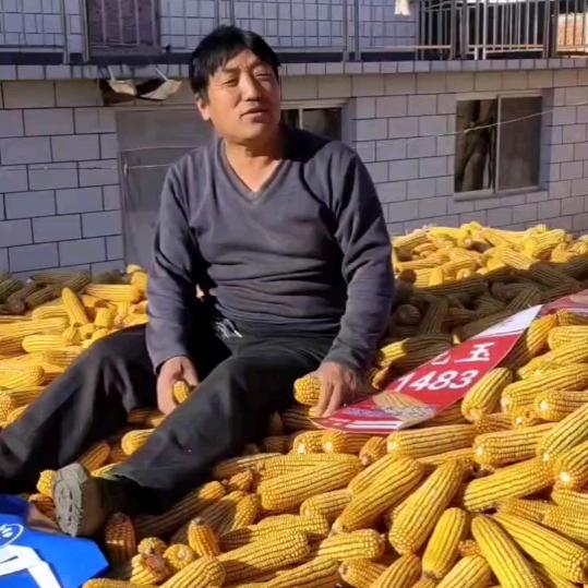 姚吉营王虎种子化肥门市