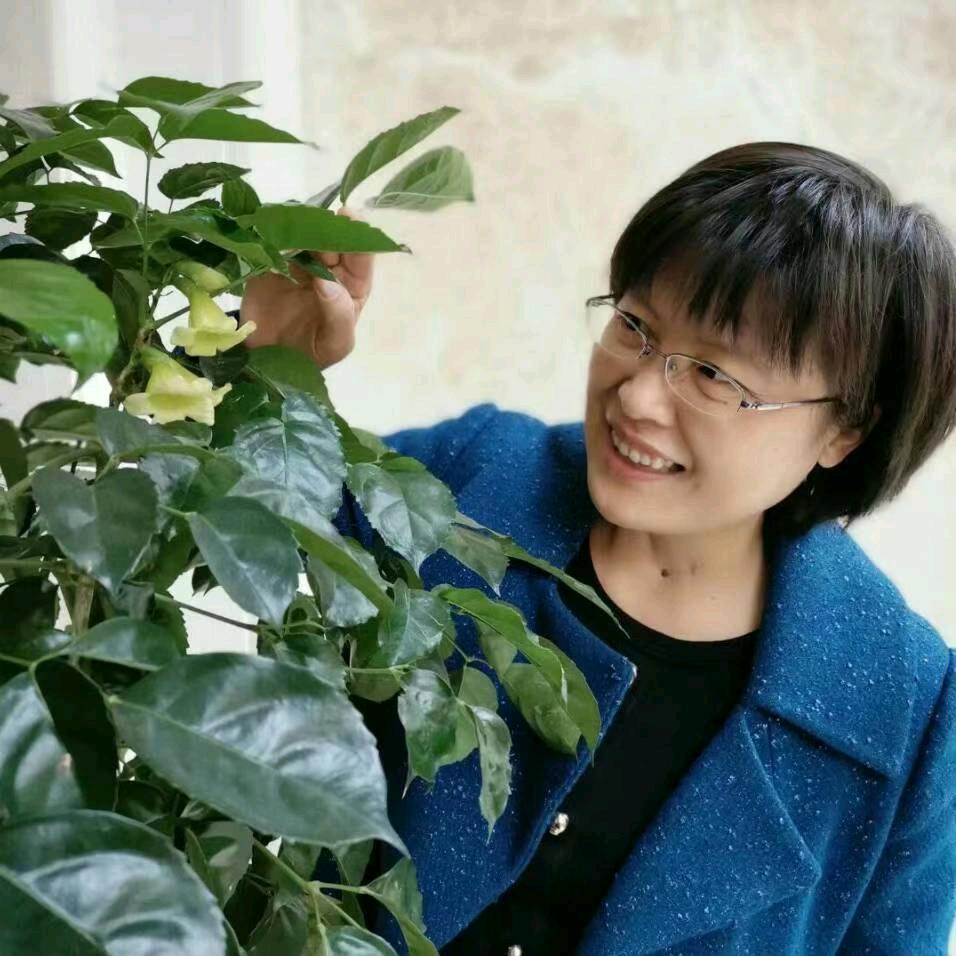 木木（记录陪伴父母的点点滴滴…）