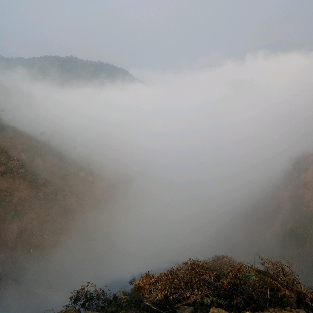 企鹅
