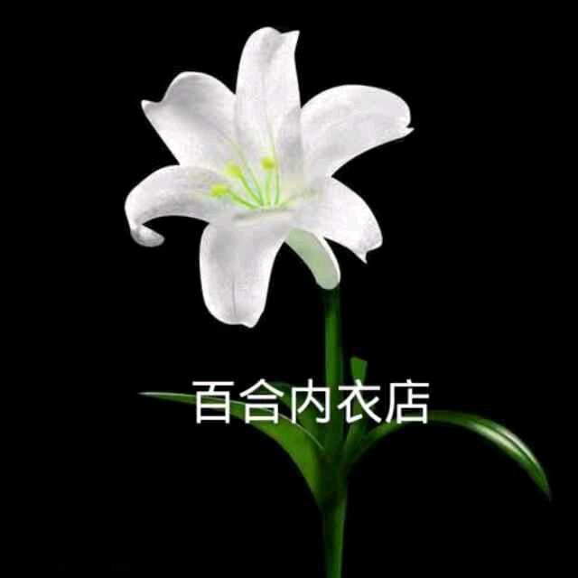 内蒙古盛乐百合内衣