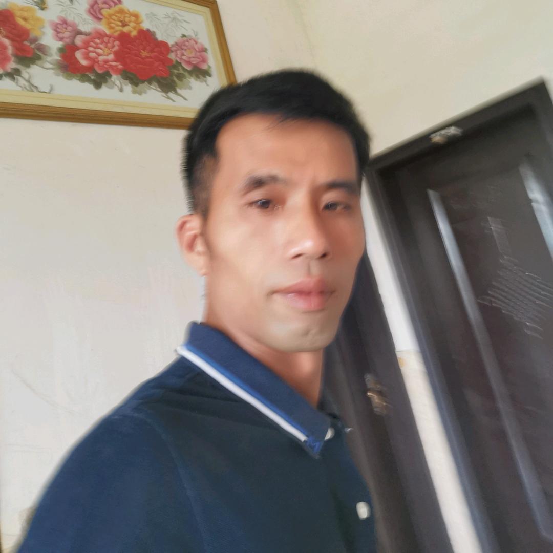 廖旺吉供应各种绿化树苗